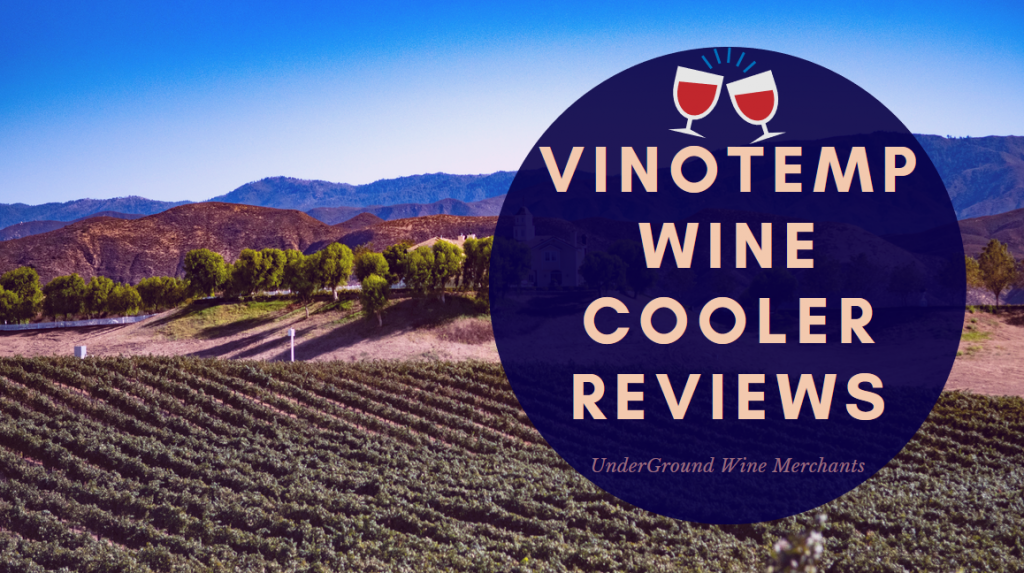 Vinotemp Wine Cooler Reviews We Review the Top 5 in The USA!