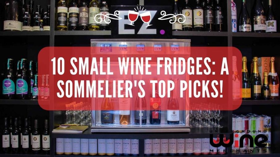 10 Best Small Wine Fridges A Sommelier’s Top Picks!