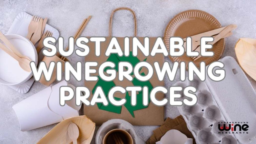 Sustainable Winegrowing Practices